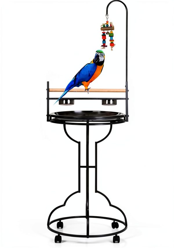 Wrought Iron Parrot Play Perch Mcage 24x24x47H BlackVein Rolling Stand-0