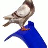 Coloch 20 Pcs Dove Rest Stand Lightweight Plastic Bird Perch for-2