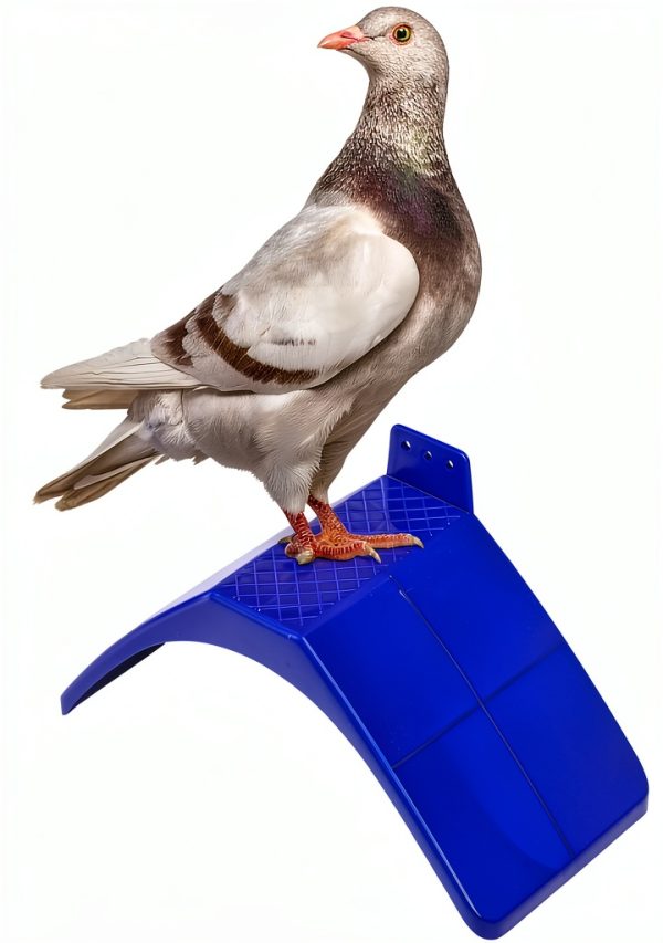 Coloch 20 Pcs Dove Rest Stand Lightweight Plastic Bird Perch for-2