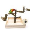 Bird Perch Stand Hamiledyi Wood Playground for Parrots, Parakeets-2